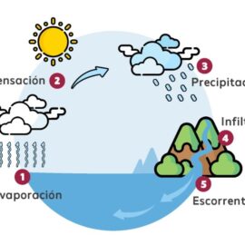 ¿Qué es el ciclo del Agua?